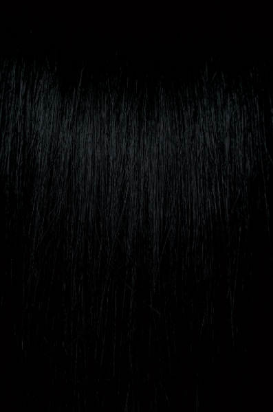 Pravana CHROMASILK - Naturals