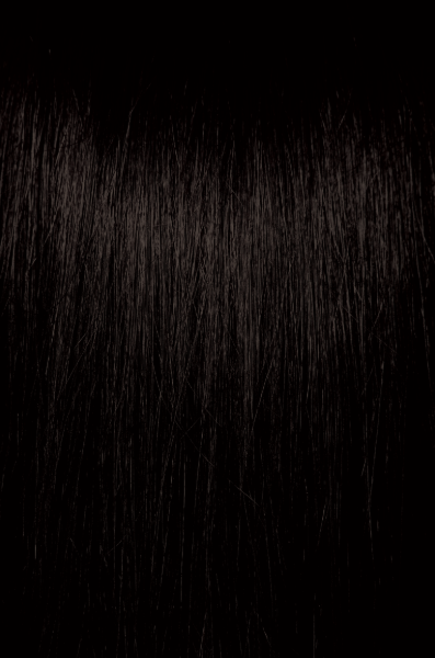 Pravana CHROMASILK - Naturals - Image 2