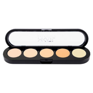PALETA DE CORRECTORES